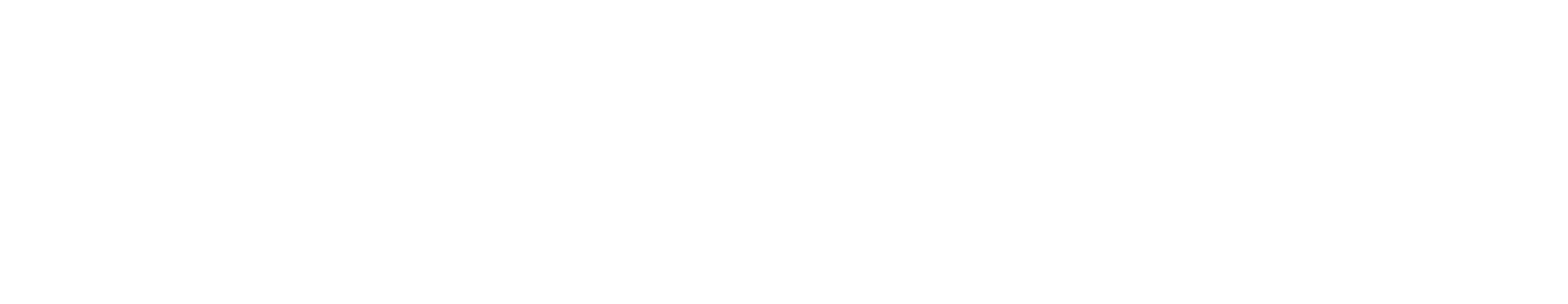 Logo Organizador