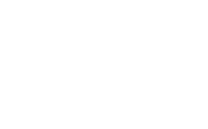 Logo Organizador