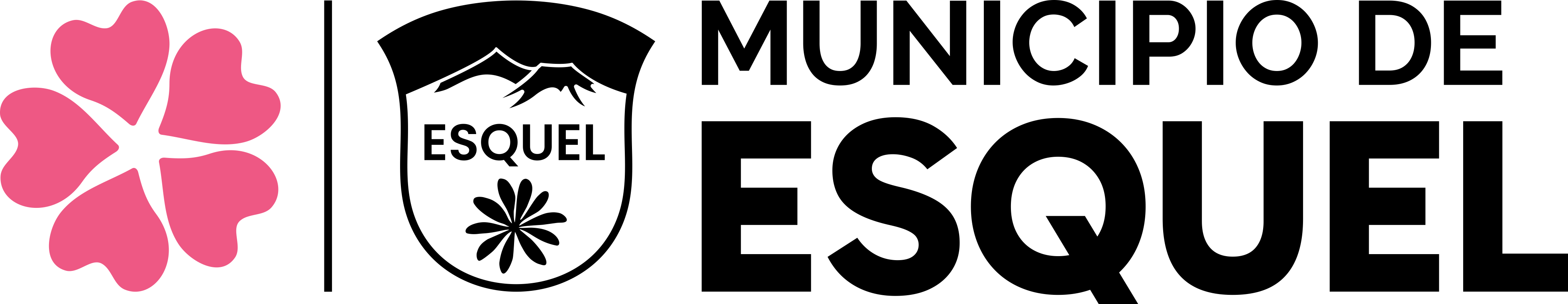 Logo Organizador